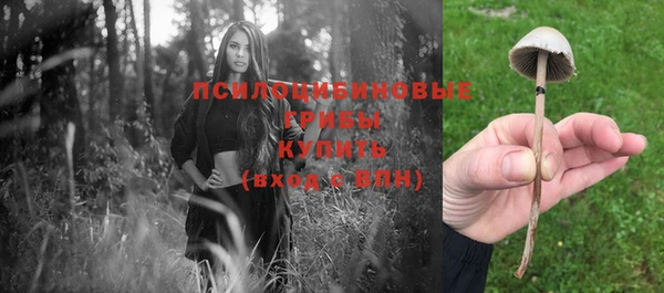 a pvp Алзамай