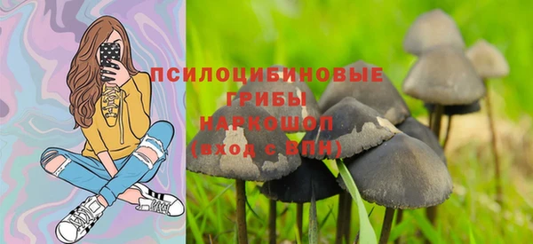ECSTASY Алексин