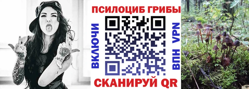 сколько стоит  Чаплыгин  мега онион  Галлюциногенные грибы GOLDEN TEACHER 
